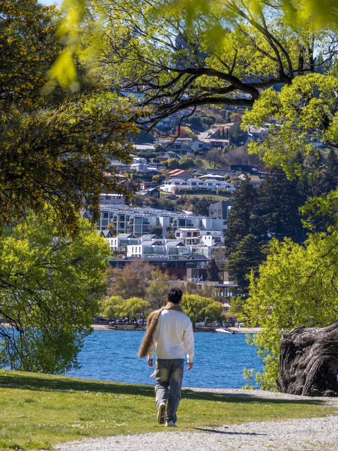🇳🇿新西兰｜在松弛里把日子过成诗