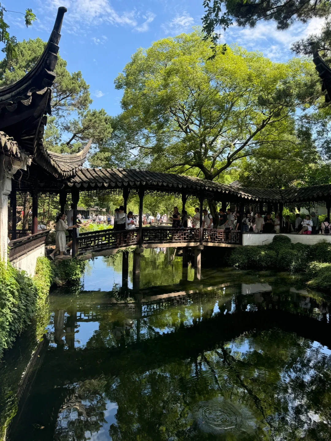 辞职后的报复性旅行：2个月20座城市🚶🏻‍♀️