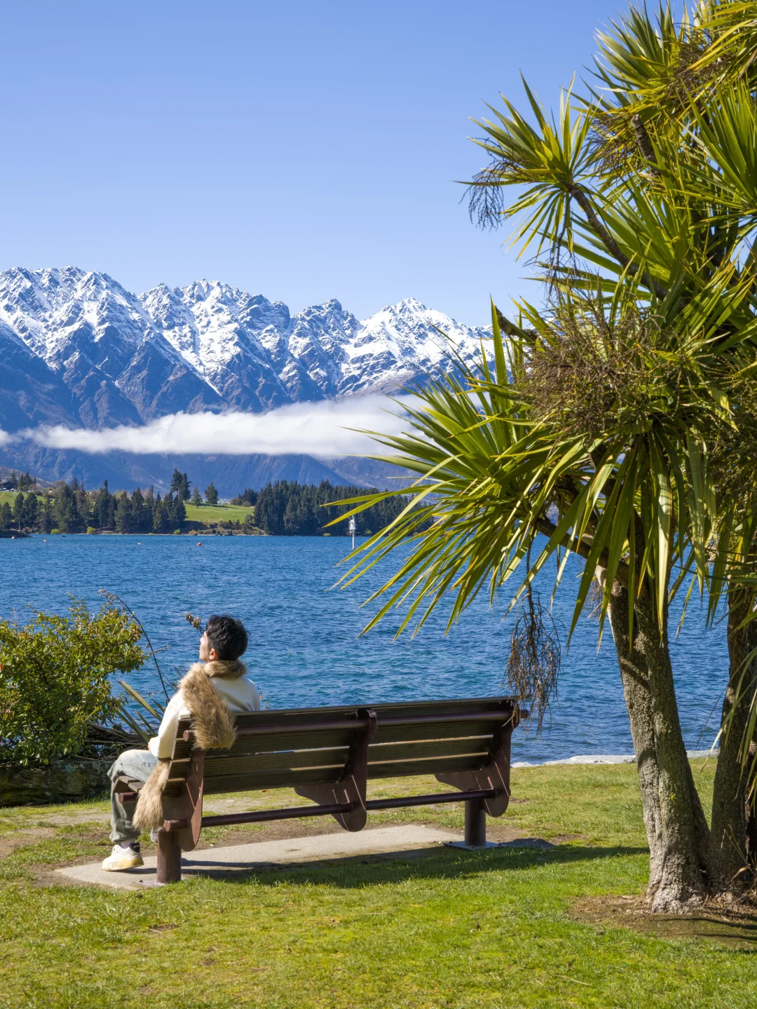 🇳🇿新西兰｜在松弛里把日子过成诗