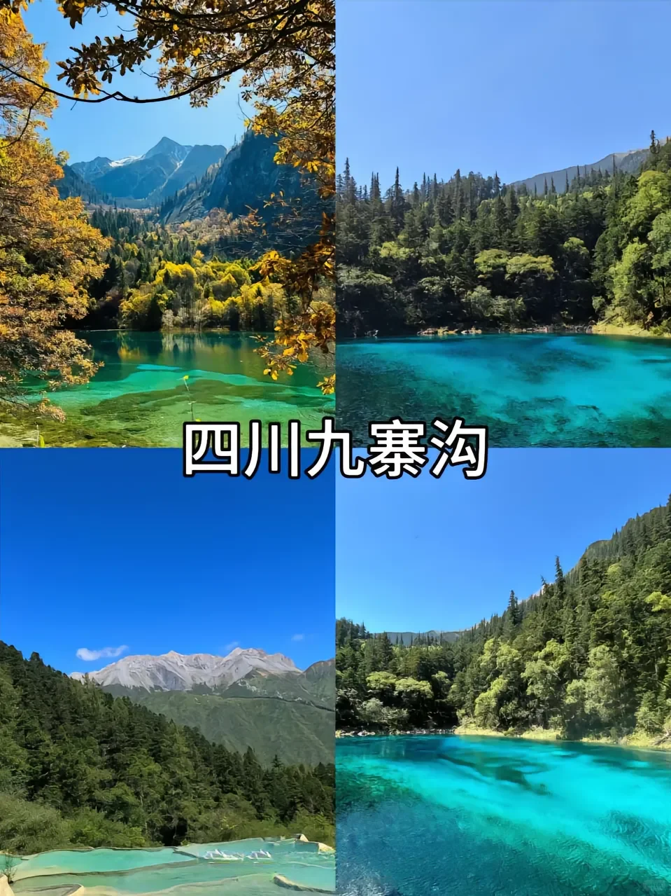 超适合去的七大城市！！！🐳🐳