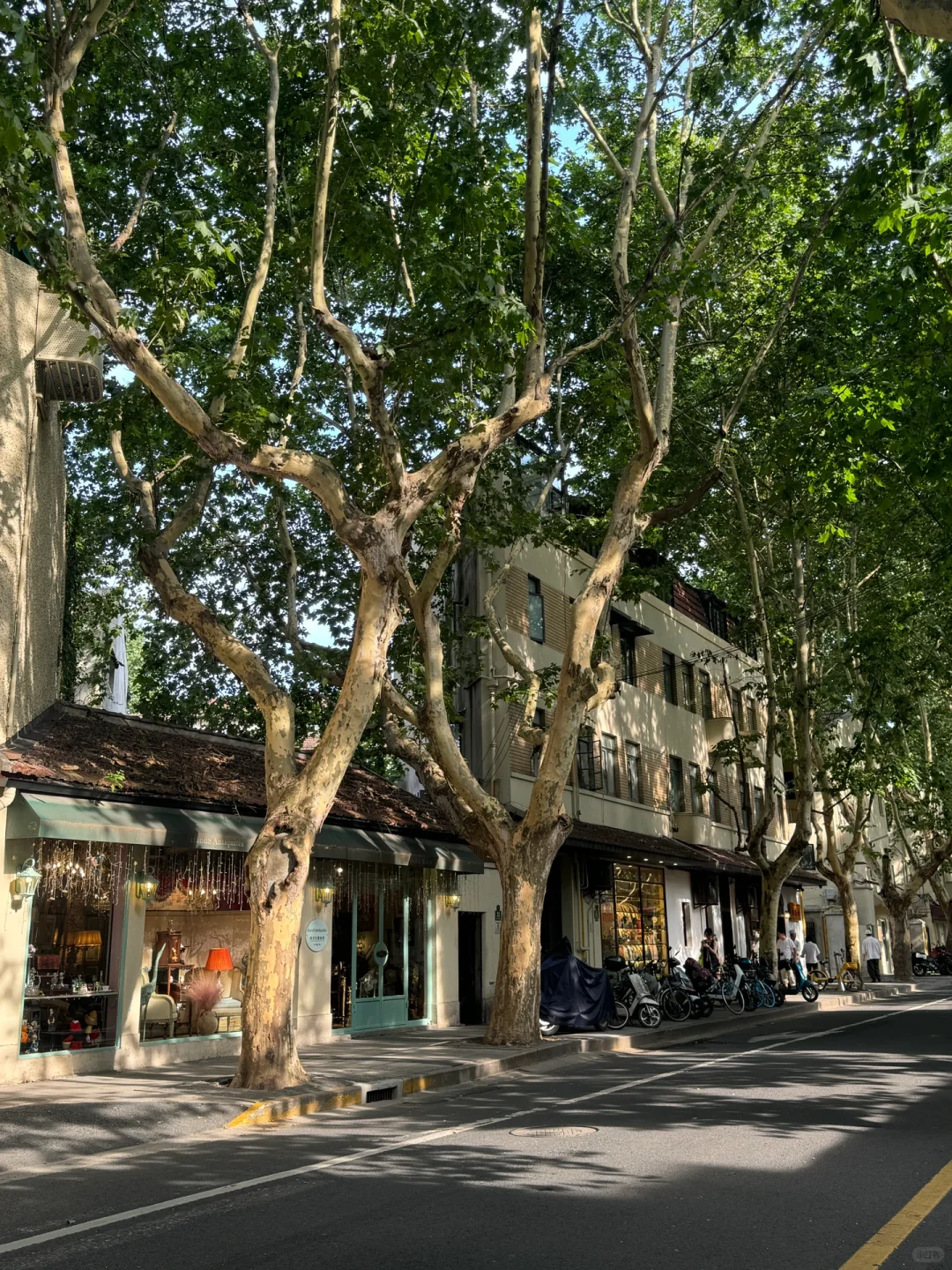 辞职后的报复性旅行：2个月20座城市🚶🏻‍♀️