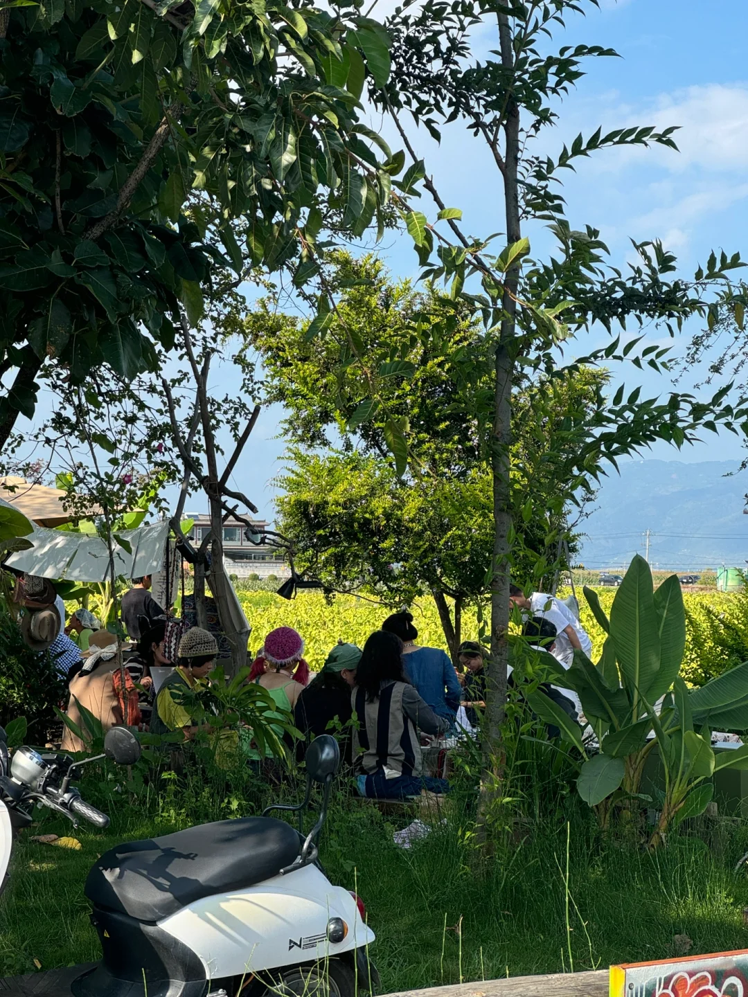 辞职后的报复性旅行：2个月20座城市🚶🏻‍♀️