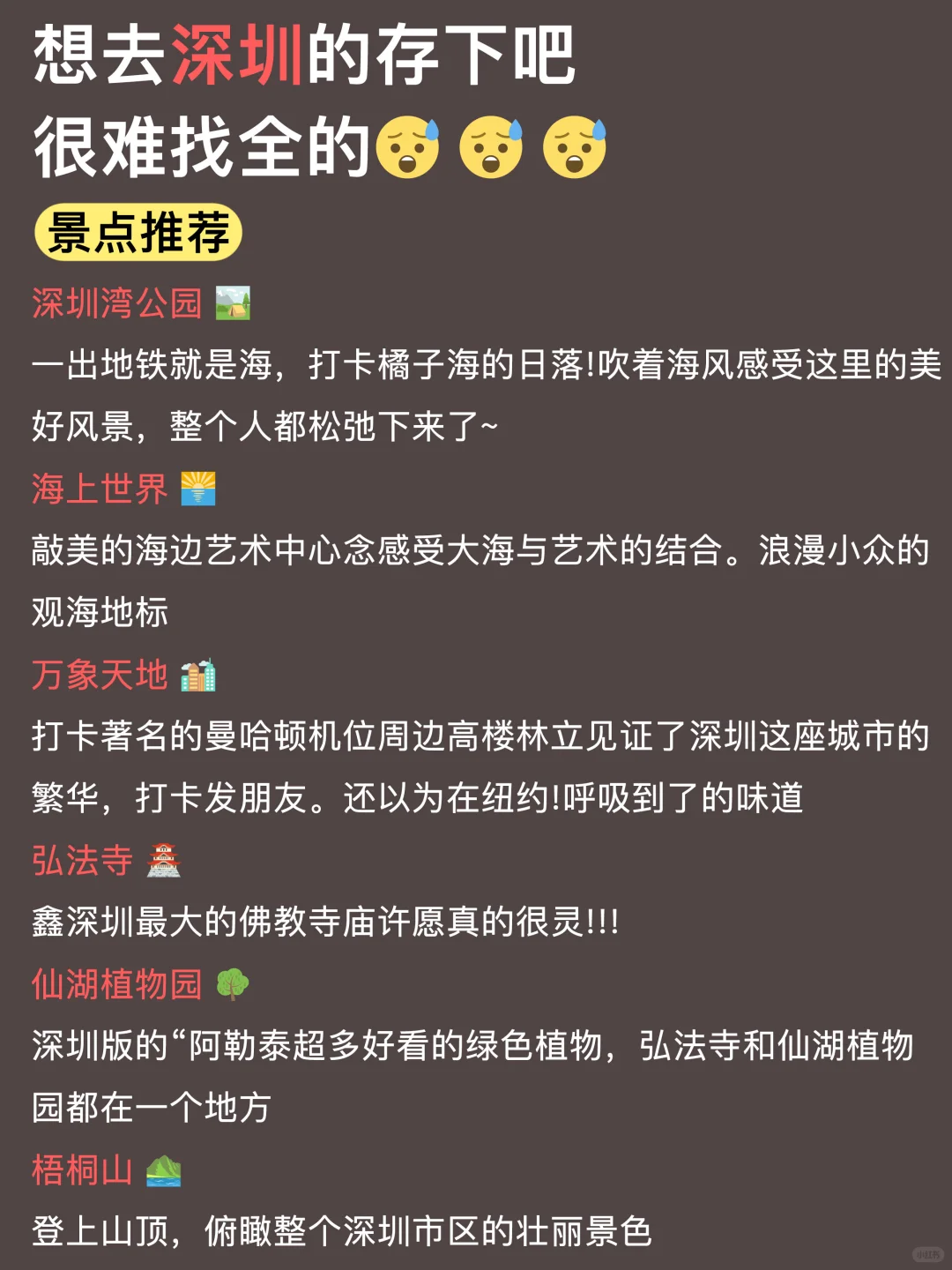 深圳旅游！不要再搞反了😭不踩雷攻略！