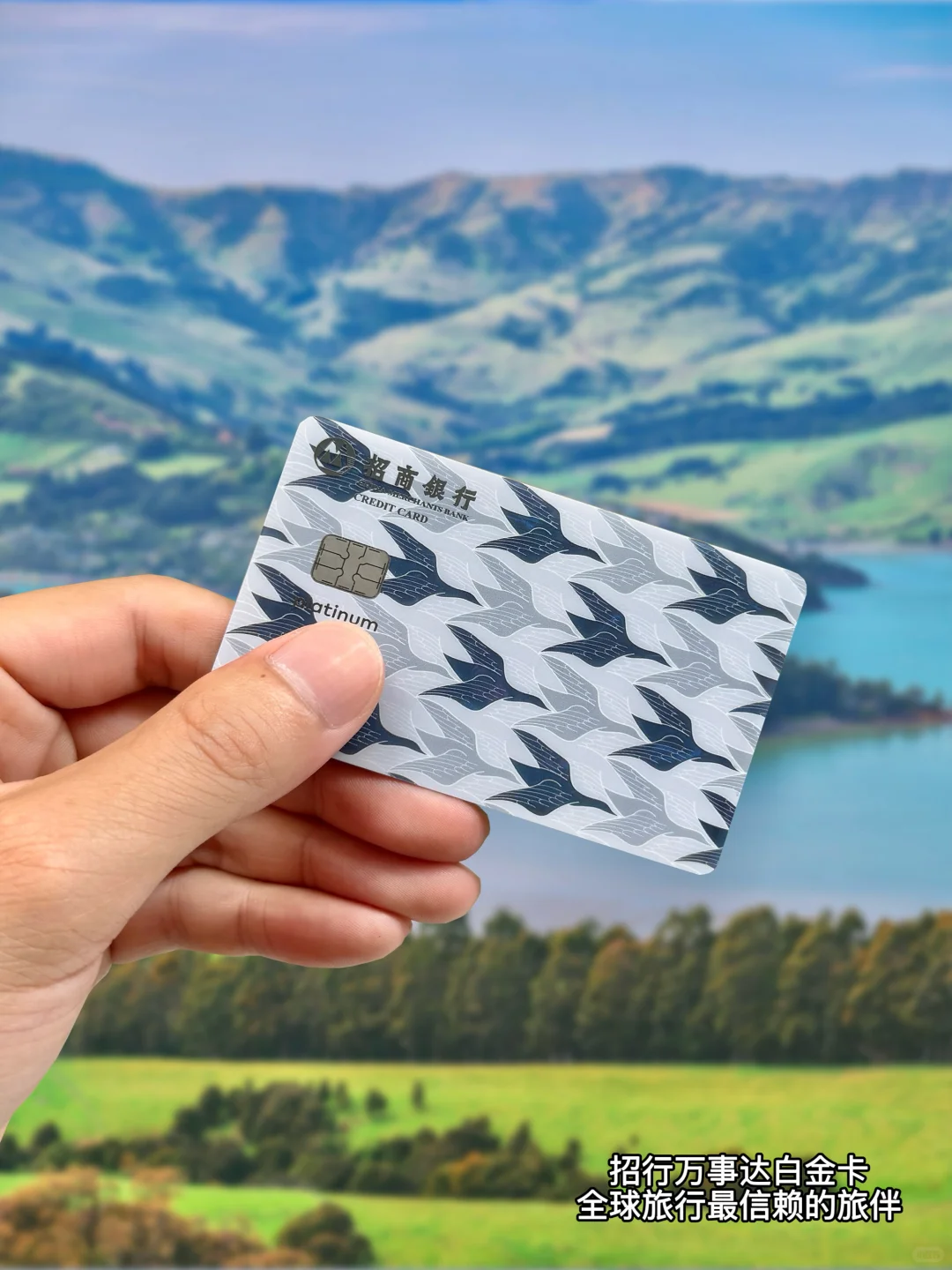 🇳🇿新西兰｜在松弛里把日子过成诗