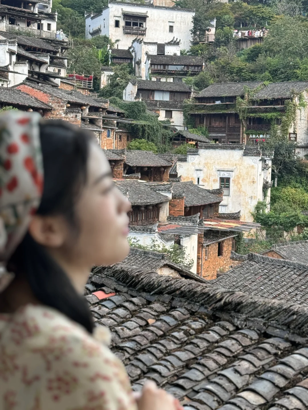 景德镇+婺源+黄山三日特种兵式旅游攻略