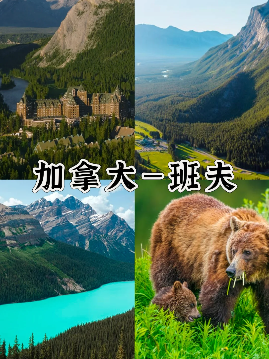 锐评凉快的国外旅游城市