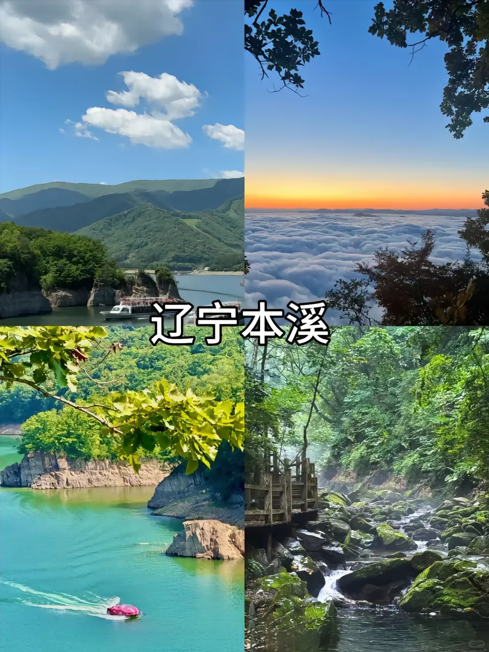 超适合去的七大城市！！！🐳🐳