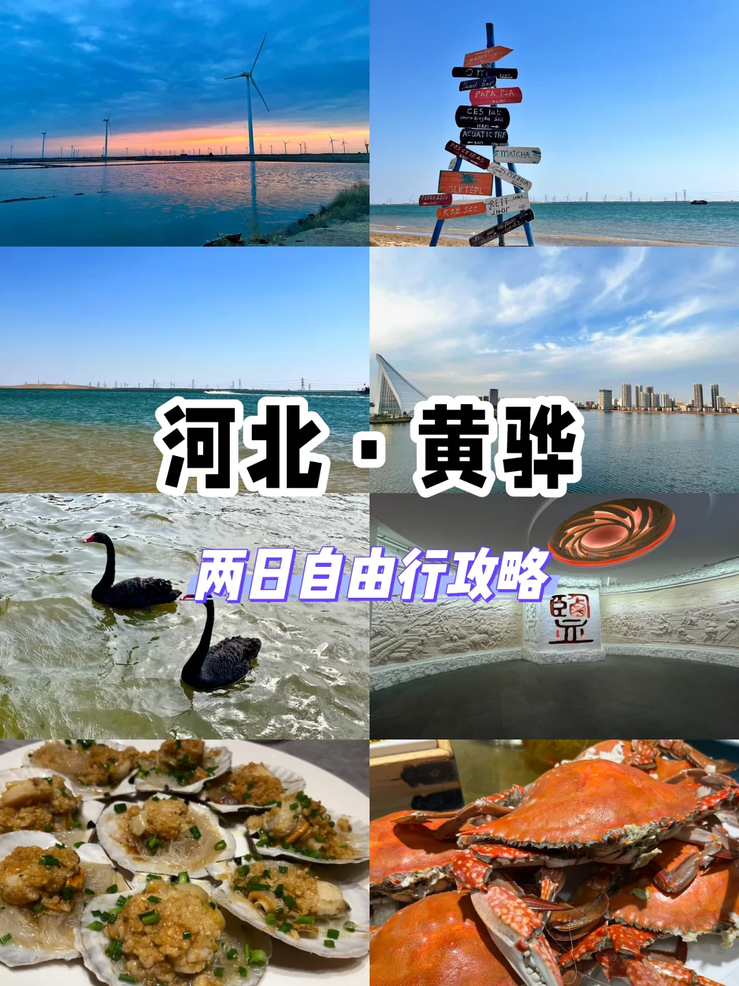 旅行记录｜河北黄骅两日游