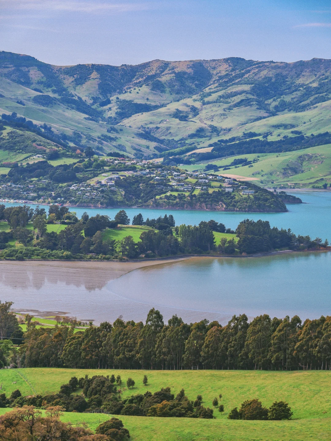 🇳🇿新西兰｜在松弛里把日子过成诗