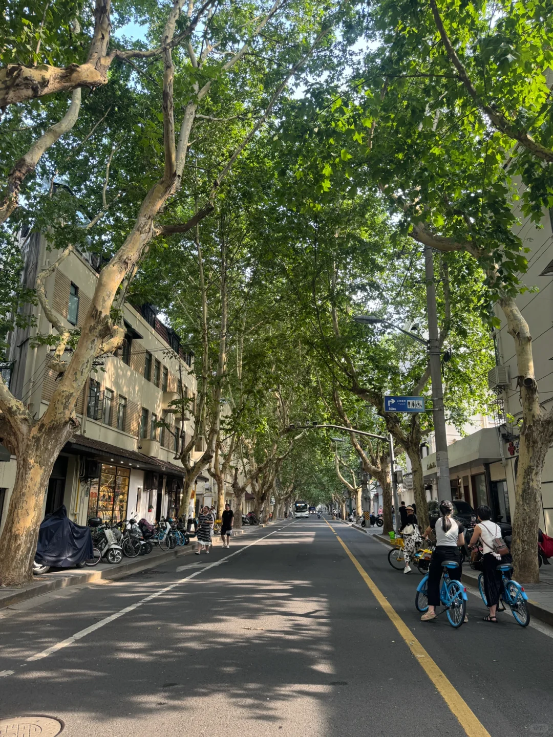 辞职后的报复性旅行：2个月20座城市🚶🏻‍♀️