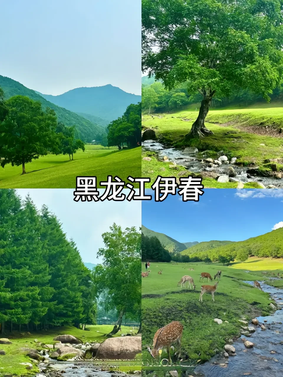 超适合去的七大城市！！！🐳🐳