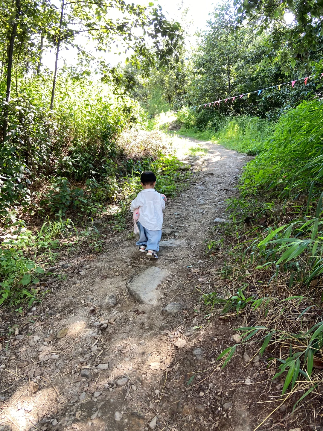 住在大理的免费宝藏遛娃圣地