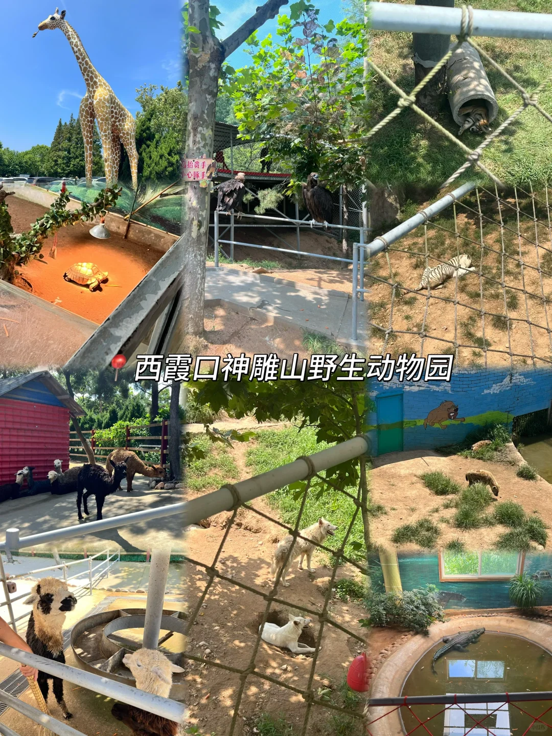 亲子游｜避开人从众！我宣布这里是遛娃天花板