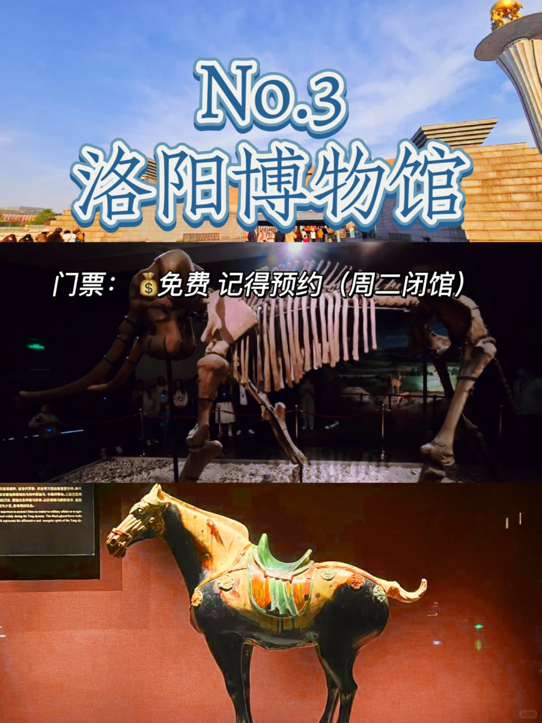 洛阳必去的16大旅游景点🔥码住~