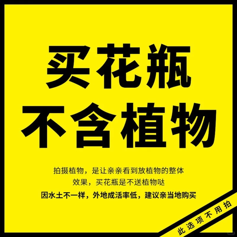 轻奢高档客厅餐桌绿植卧室桌面玄关高端装饰