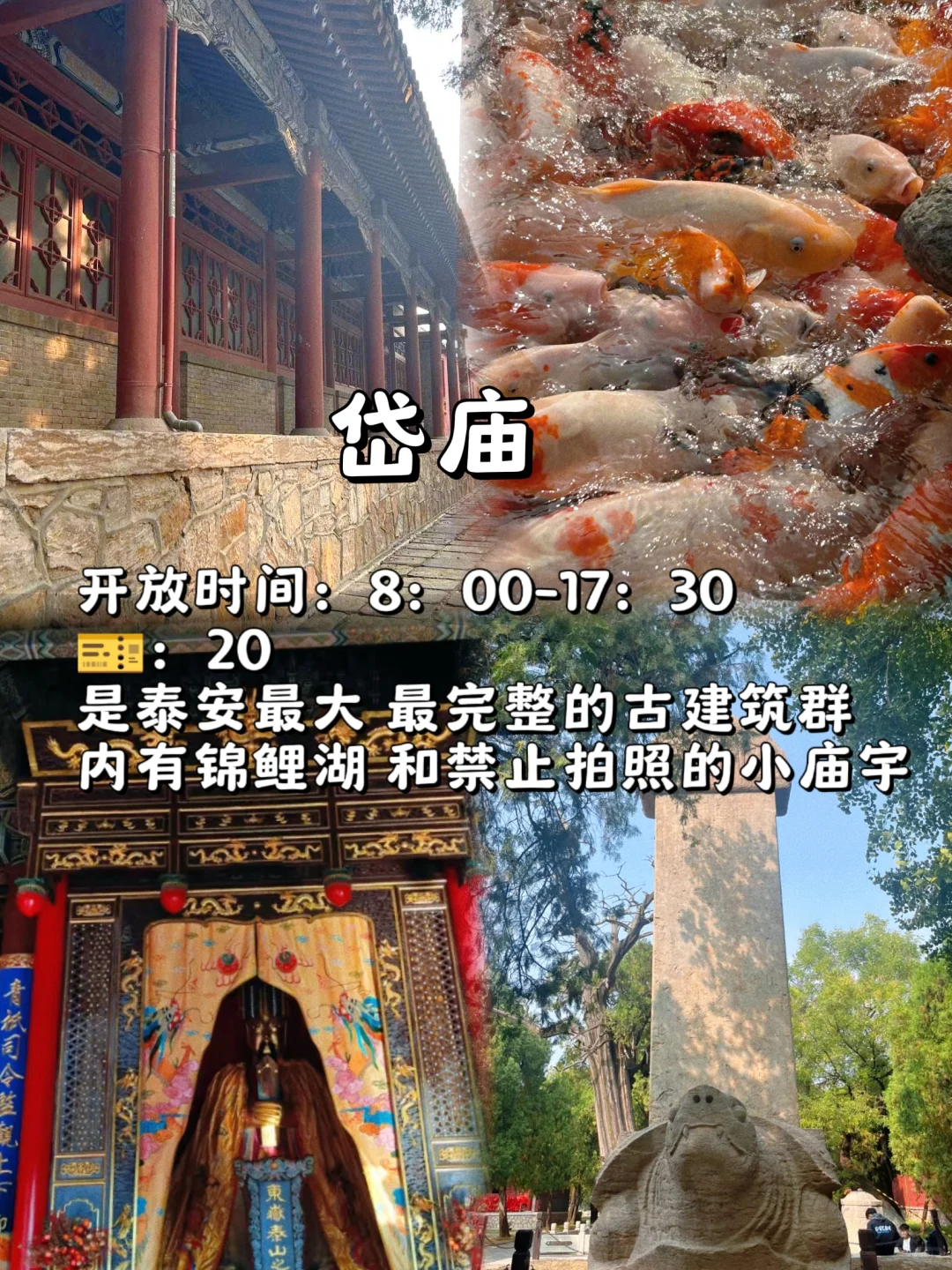 泰安不止泰山，两天两夜游玩保姆攻略！