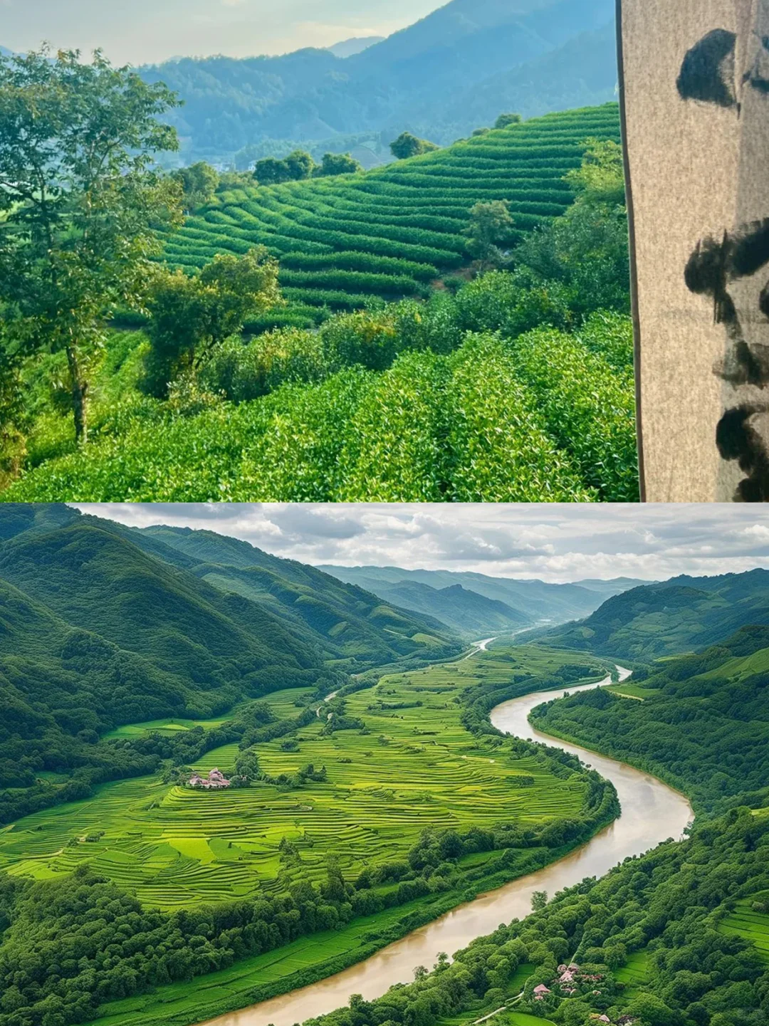 J人做的武夷山攻略，满意的睡不着