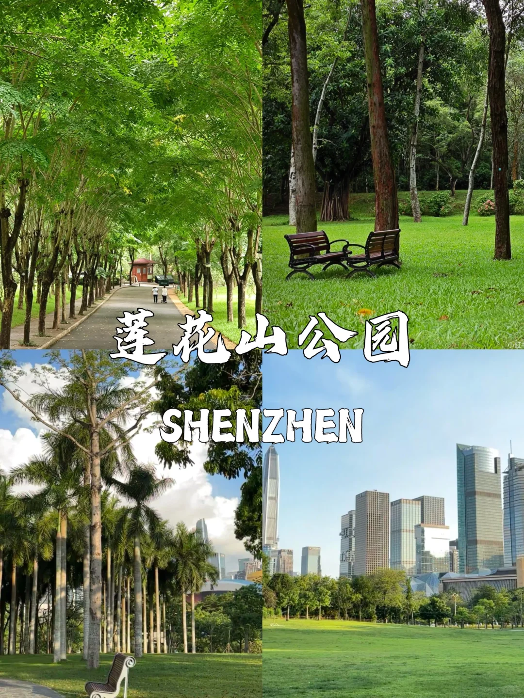 🌆 深圳地铁直达9大景点｜周末说走就走攻略