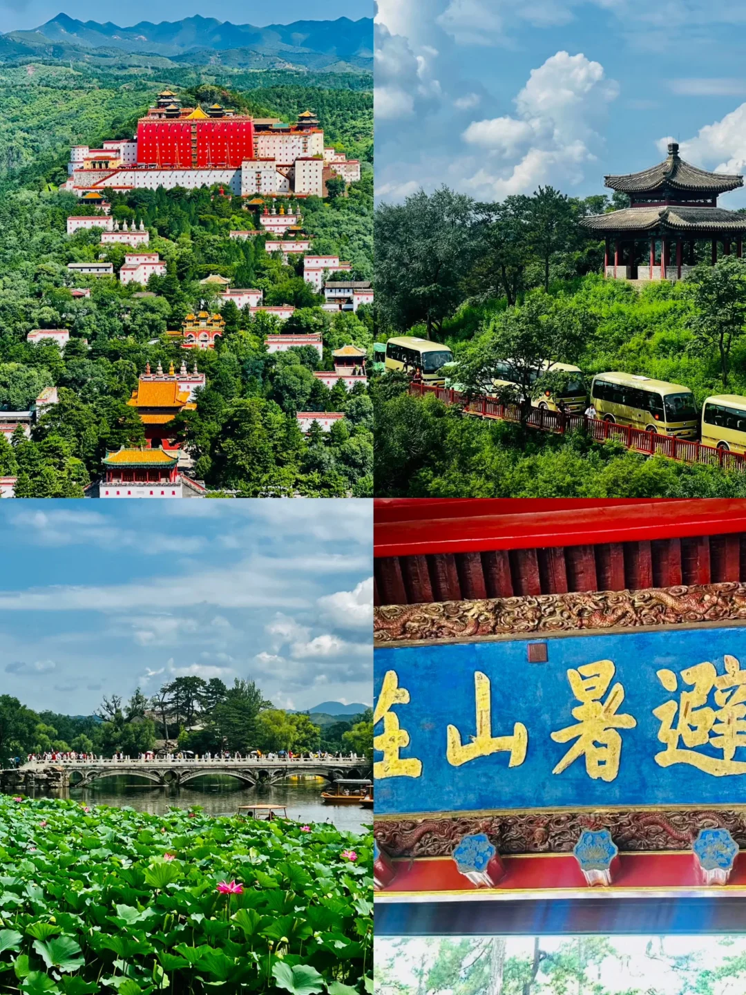 7-8月亲子游，国内最凉快的地方❗️