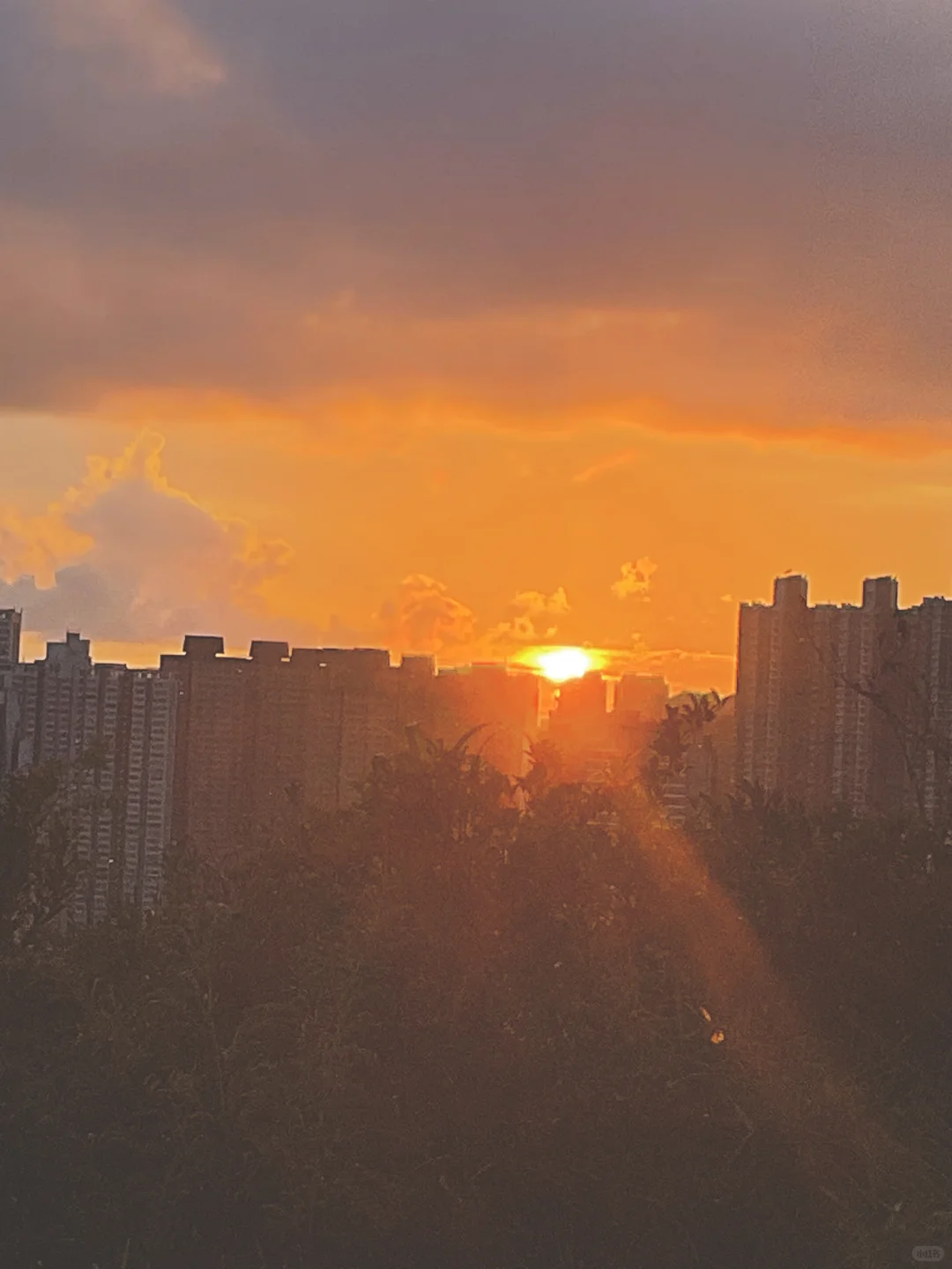 🇭🇰香港爬山｜景美易走 南朗山 香港仔水塘