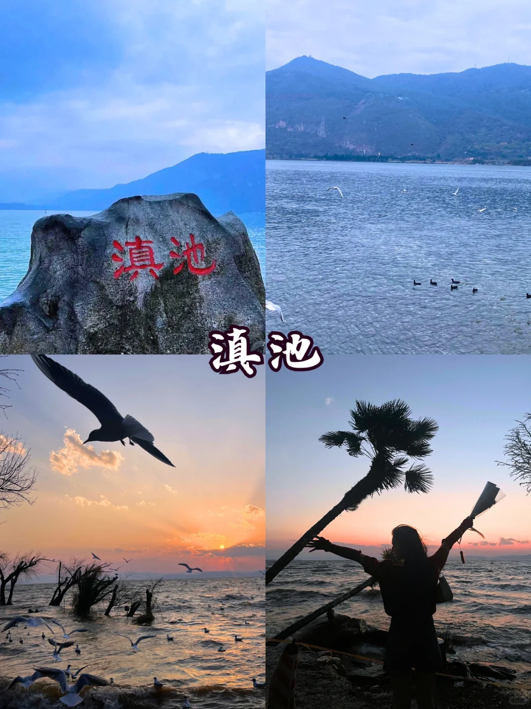 第一次来云南旅游🌈千万不要把顺序搞反了！