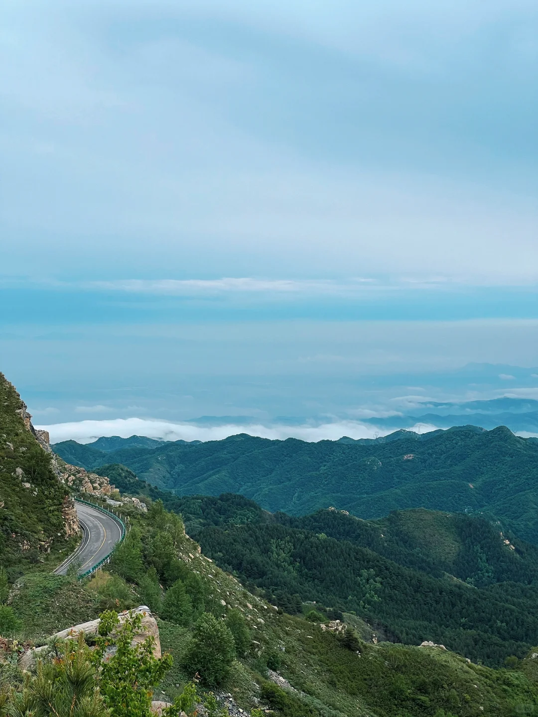 山西小阿勒泰-芦芽山