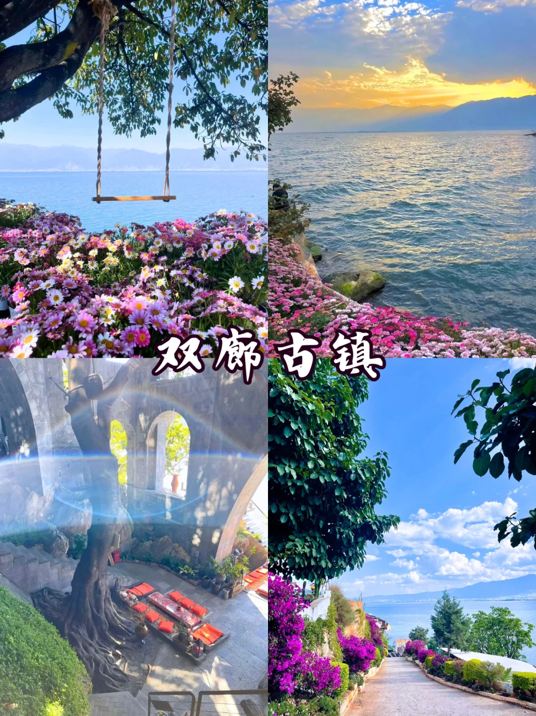 第一次来云南旅游🌈千万不要把顺序搞反了！