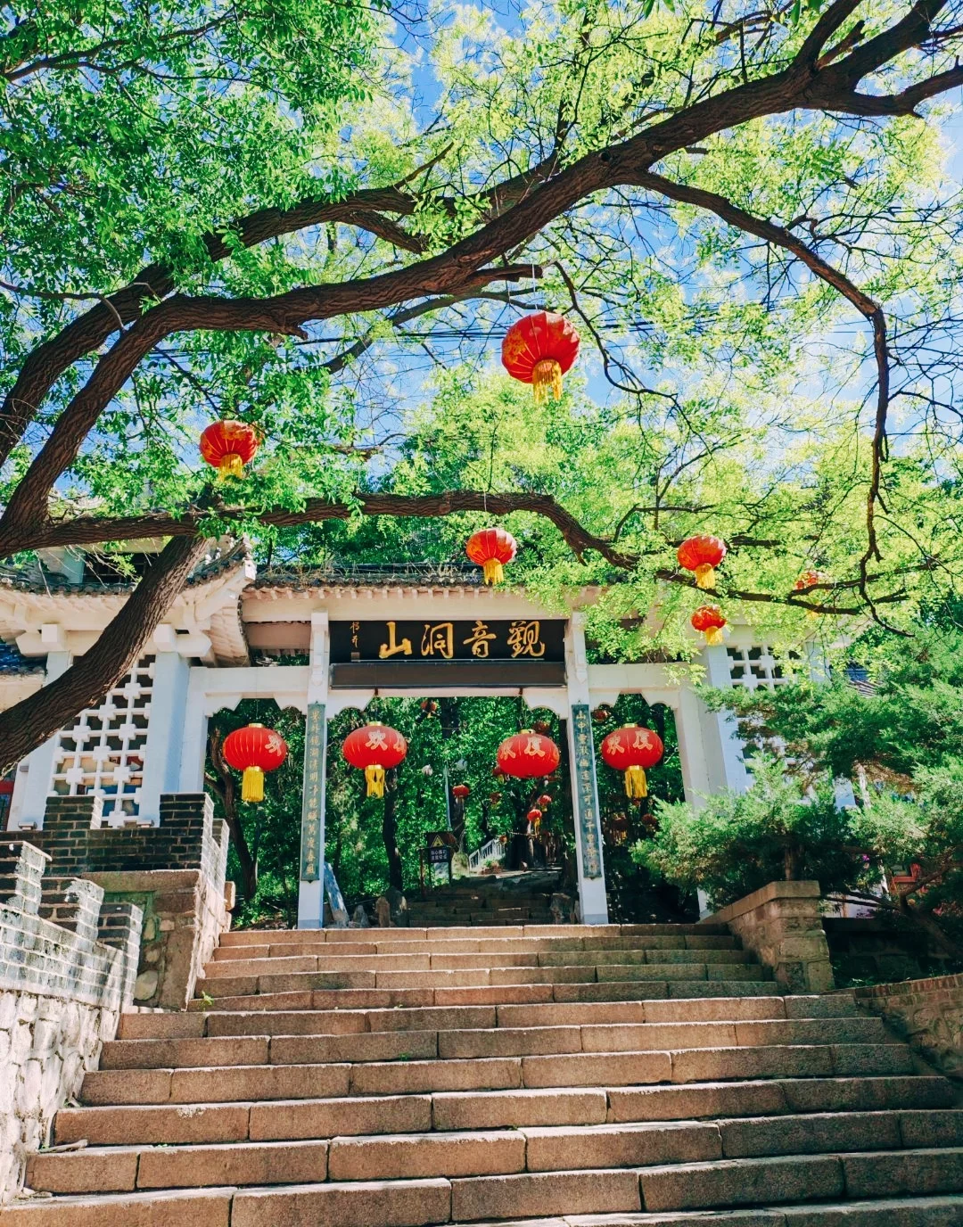 听劝，锦州会惩罚每一个不做攻略的人❗