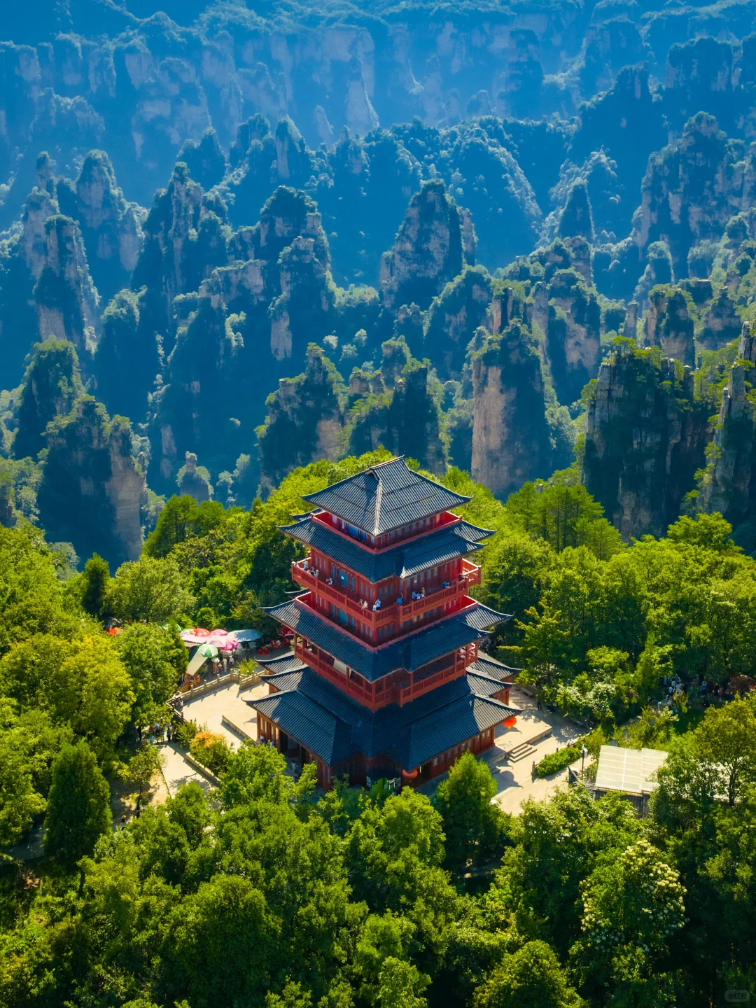 张家界刚回来，我最喜欢的居然是这里‼️