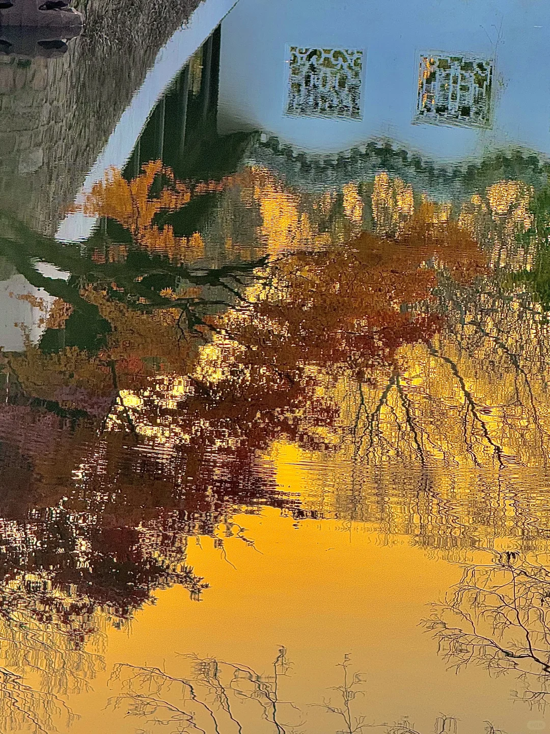 live🍂接下来的苏州，是国内秋日旅行天花板