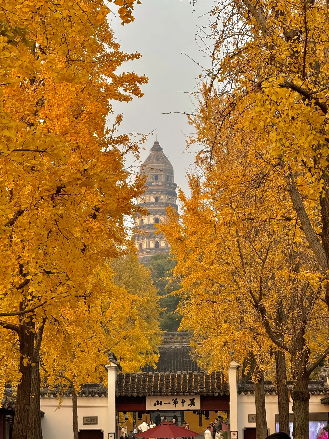 live🍂接下来的苏州，是国内秋日旅行天花板