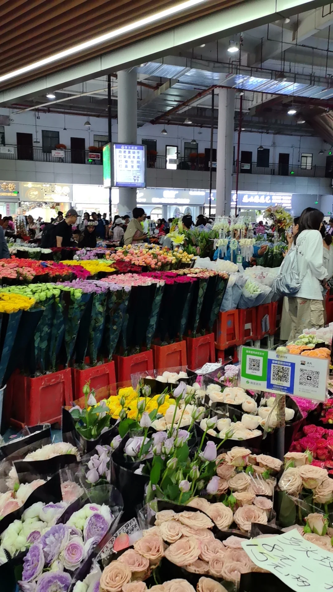 夏季去哪儿好