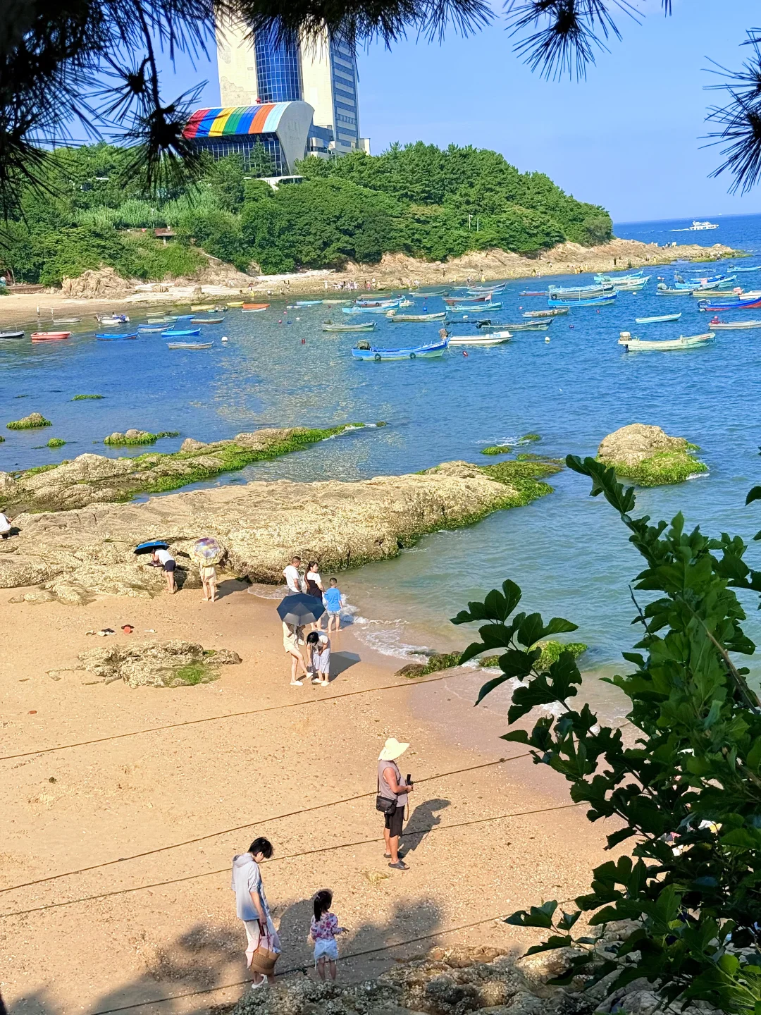 真没出国❗️今年去过最舒服的海边城市🏖️🦀