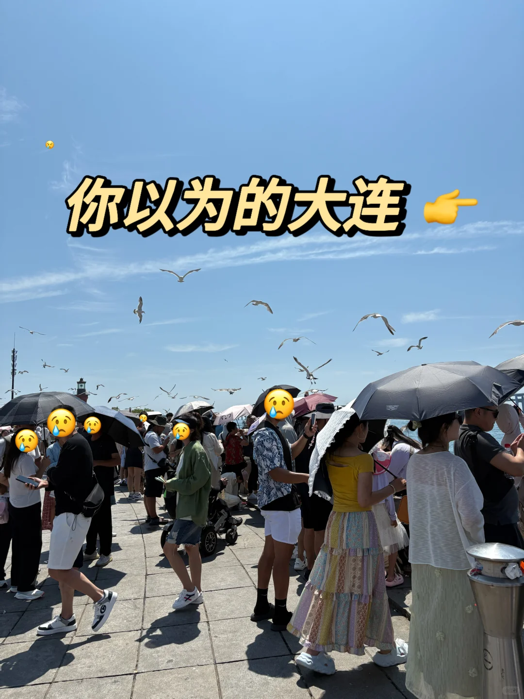 大连旅游真不是你想的那样，能劝一个是一个.