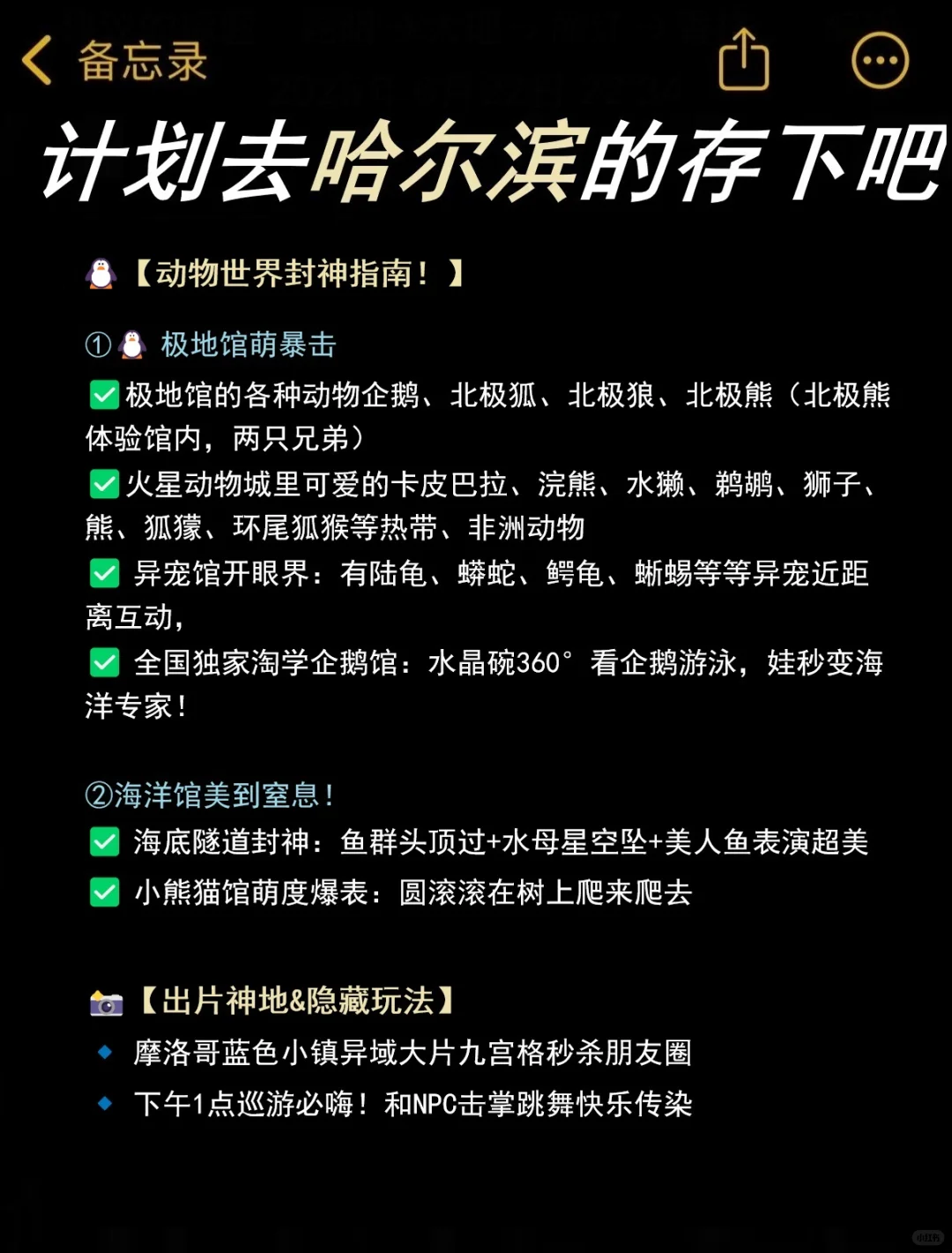 哈尔滨 | 解锁冰城夏都的正确打开方式❄✨