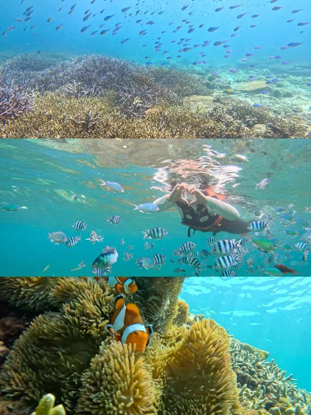 🇲🇾亚庇｜5天4夜海岛plog🐚🌊🏝️