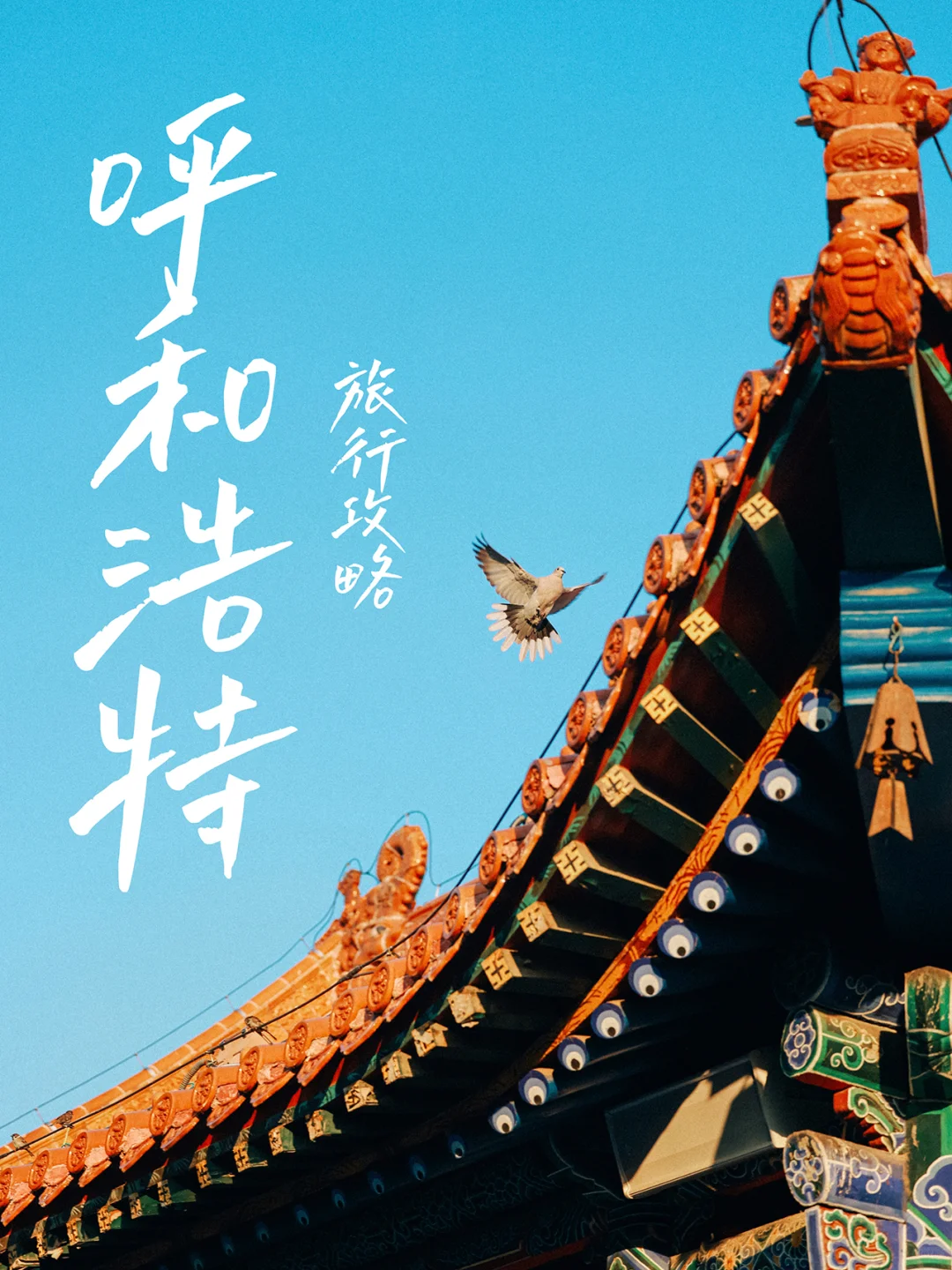呼和浩特7天6晚旅游攻略