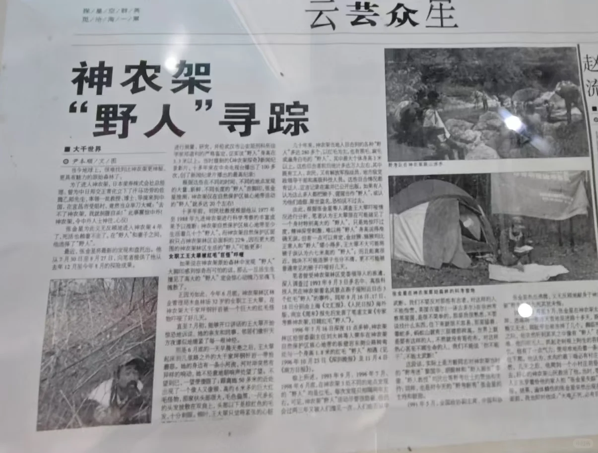 蓝战非一句话给我干湖北来了