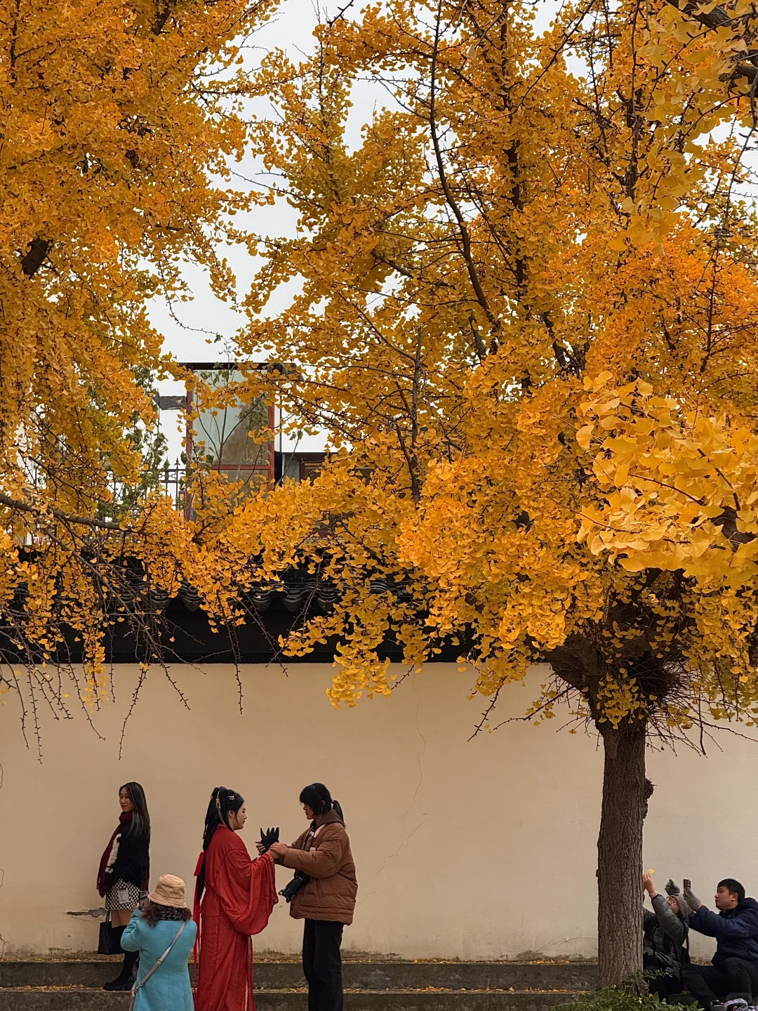 live🍂接下来的苏州，是国内秋日旅行天花板