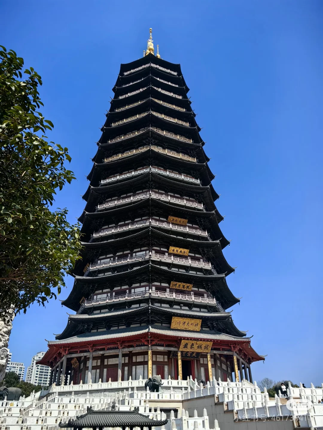 常州攻略：不爱恐龙园，更推荐你去免费景点