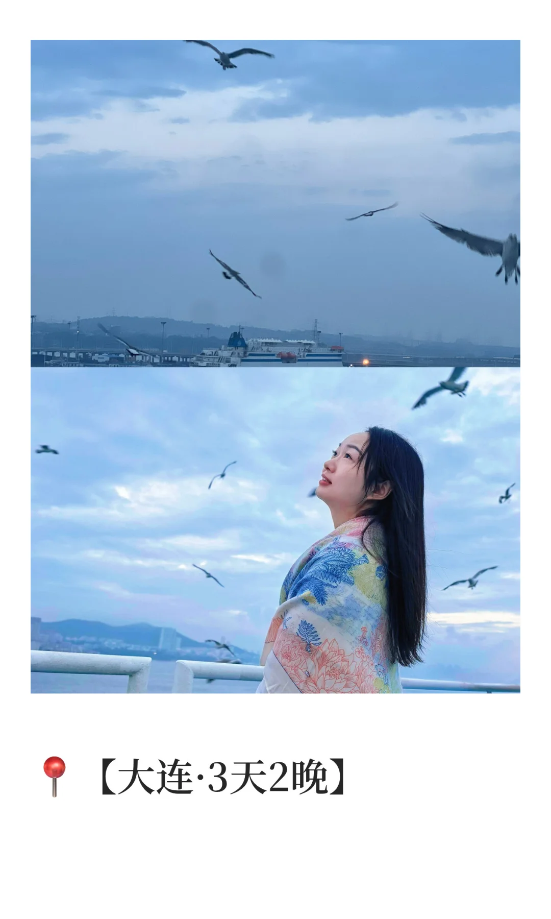 🌊青岛-烟台-大连沿海线｜8天7晚浪漫攻略被