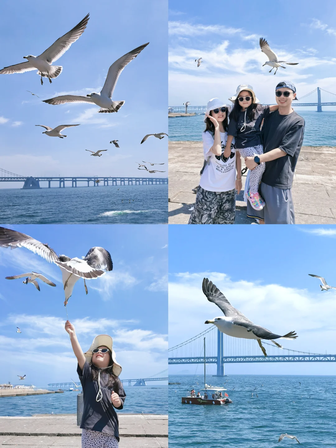 大连4天3晚💙舒适遛娃、带长辈攻略来啦