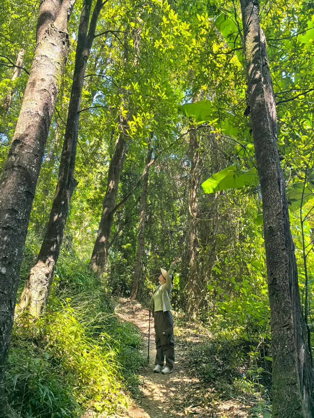 山不见我，我去见山