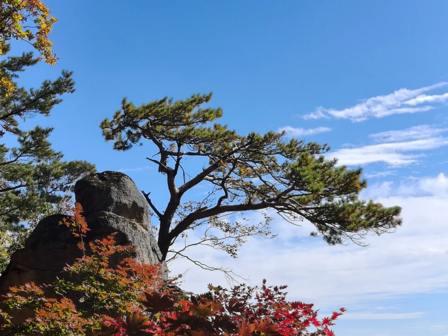 刚从本溪回来，六大赏枫景点大测评！(上篇)
