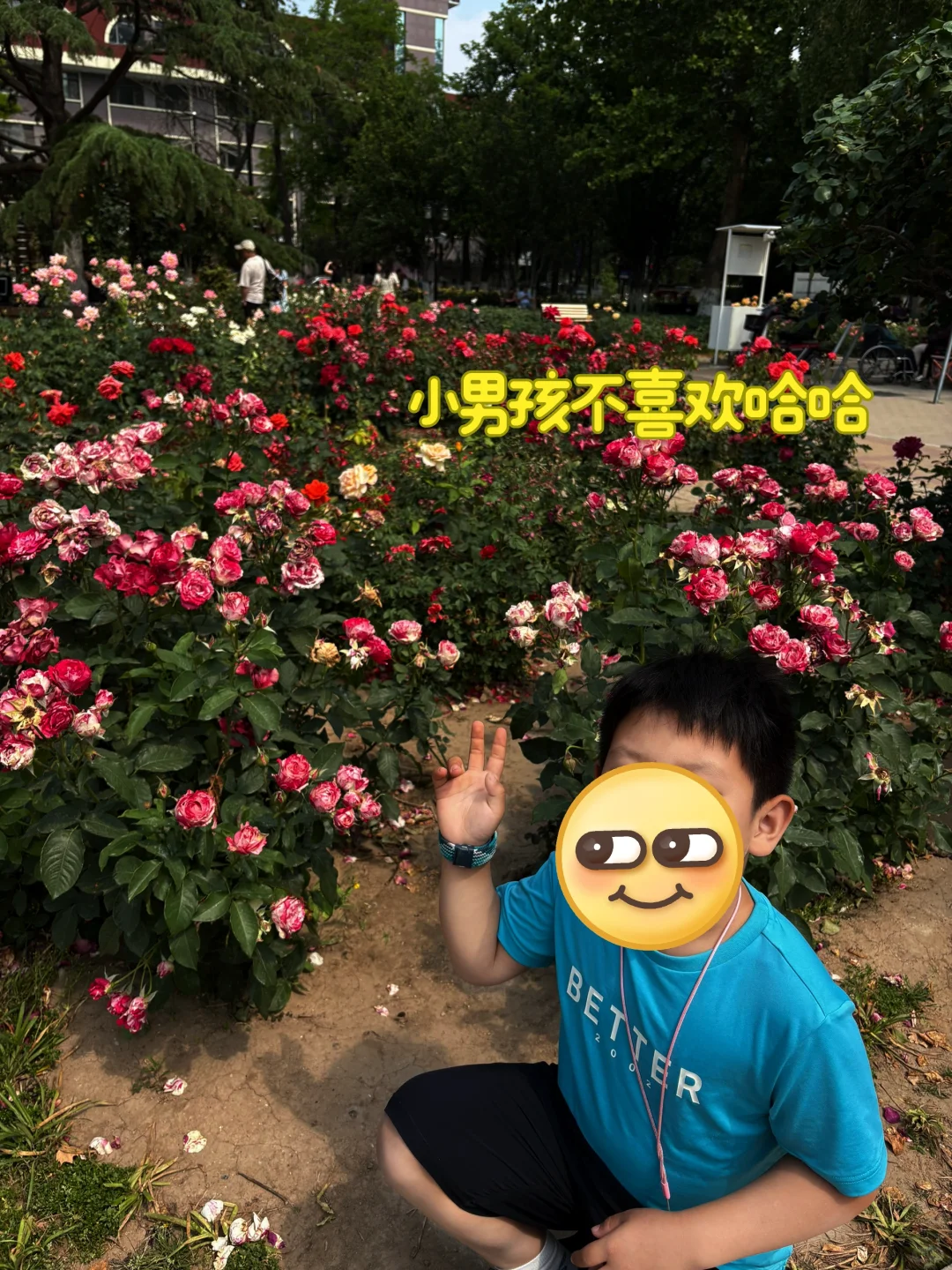 呼市到天津两日游攻略