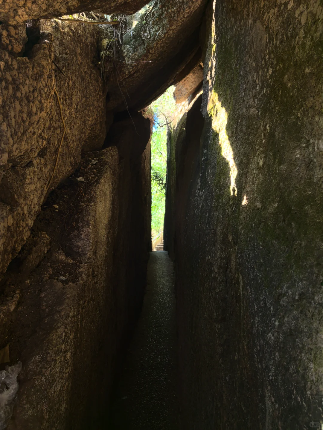 山不见我，我去见山