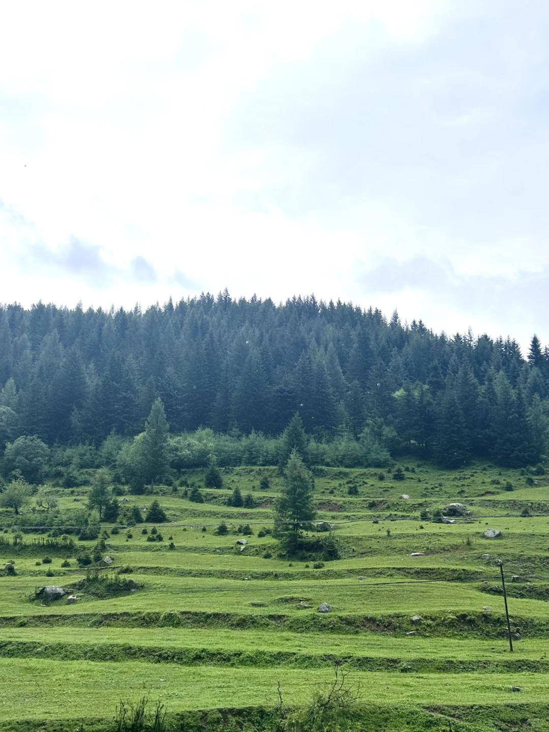 石家庄出发➡️忻州2天1晚0元自驾攻略⛰️