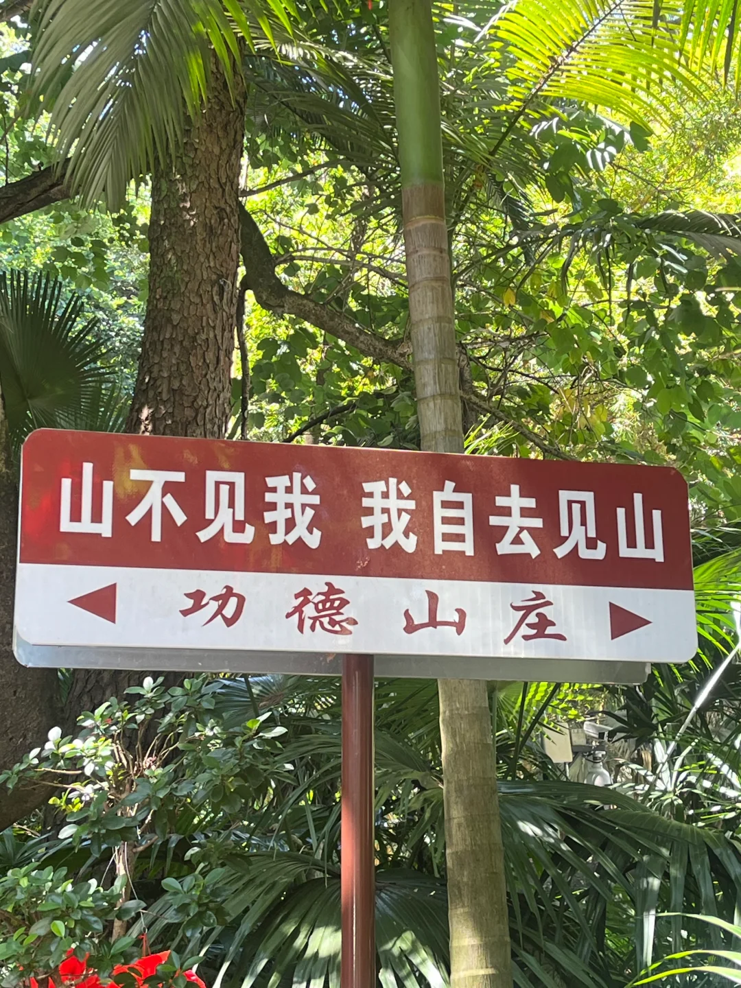 山不见我，我去见山