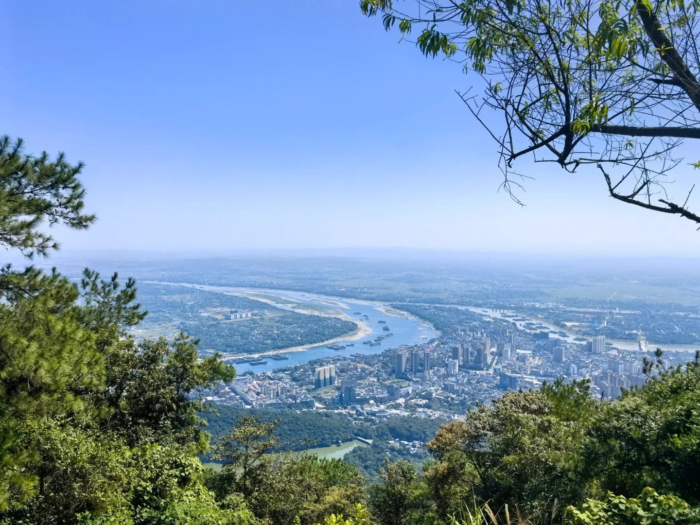 山不见我，我去见山