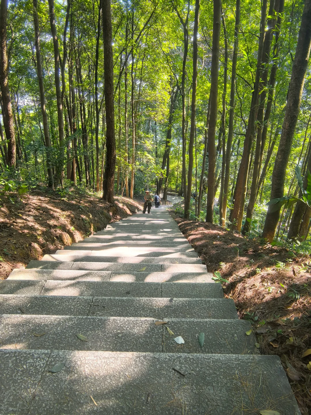 山不见我，我去见山